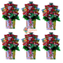 Perfect Picks - Christmas Bulk of 6