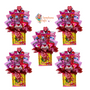 Perfect Picks - Valentines Bulk of 5